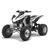 Quad-ATV Motori