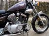 polovni motori Yamaha Virago XV 250